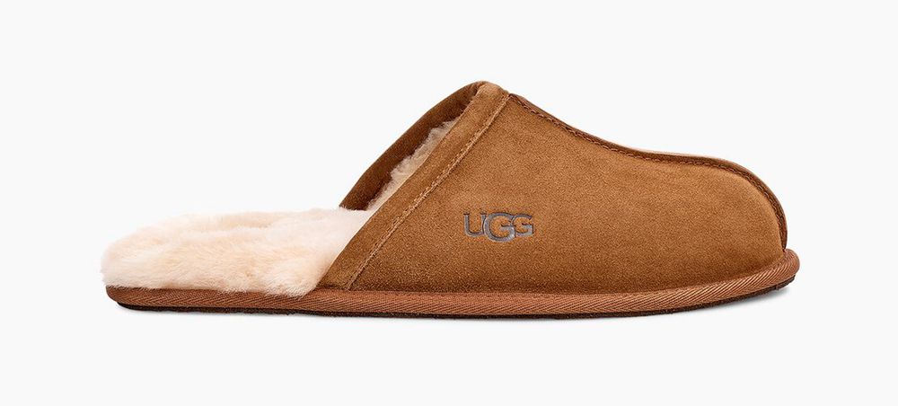 Ugg Slipper Mens - Ugg Scuff Brown - 341KTAXIM